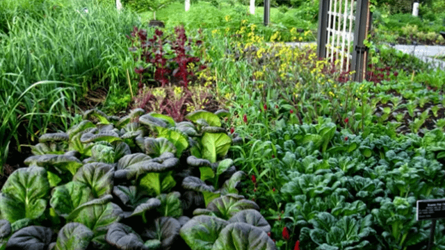 FilAm-PERSPECTIVES-EP06